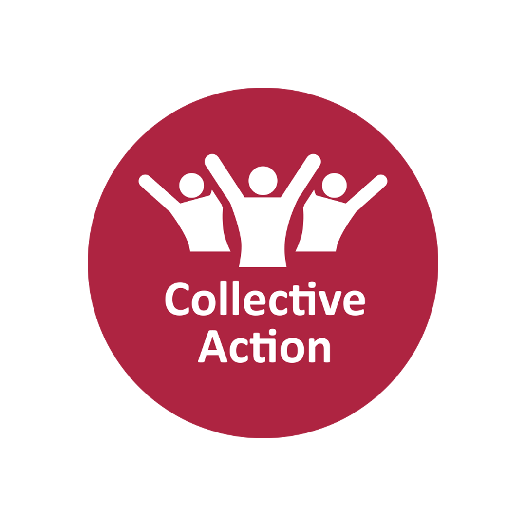 Collective Action